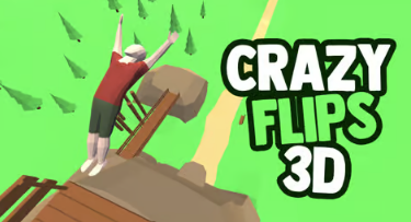 পাগল ফ্লিপ 3D (Crazy Flips 3D)