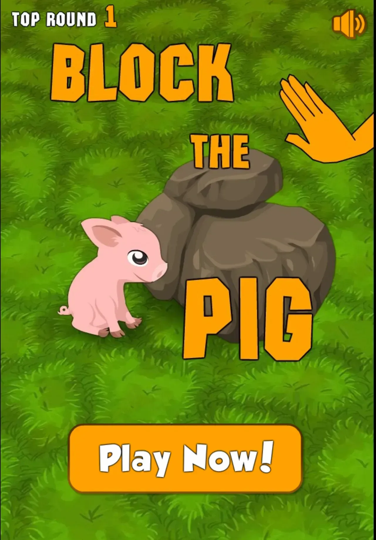 Block the Pig